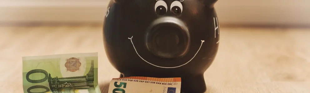 FinanzCheck - Sparschwein im Geld