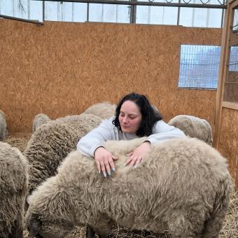Frau streichelt Schaf